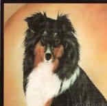 Dogs