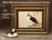 The Bufflehead Drake - Sherry C Nelson