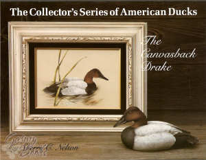 The Canvasback Drake Sherry C Nelson - OOP