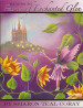 Return to Fairies of Enchanted Glen - Sharon Teal Coray
