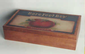 Bare Foot Boy - Judy Morgan