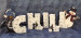 Chill Standing Letters - Laurie Speltz