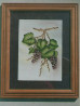 Grapes on the Vine - Judi Willetts
