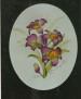 The Orchid - Judi Willetts
