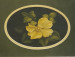 The Wild Yellow Rose - Cheri Rol