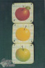 Apples Three -  Arlene Beck