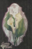 Callas on Moire Lily  - Joanne Hayman
