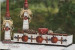 Apple & Cinnamon Spices - Kim Hogue