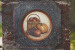 Bountiful Harvest - Kim Hogue