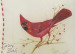 Cardinal  - Terry Pernicaro
