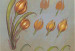 Tulips - Carolyn Phillips
