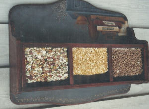 Blue Bean and Shaker Seed Shelf #282 - Phyllis Tilford