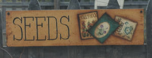 Seeds - Jill Ankrom